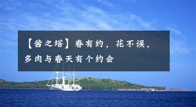 【茜之塔】春有约，花不误，多肉与春天有个约会