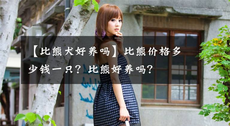 【比熊犬好养吗】比熊价格多少钱一只？比熊好养吗？