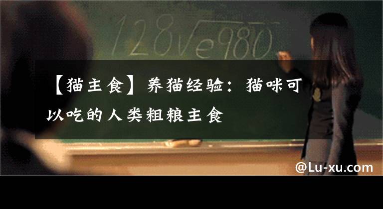 【猫主食】养猫经验：猫咪可以吃的人类粗粮主食