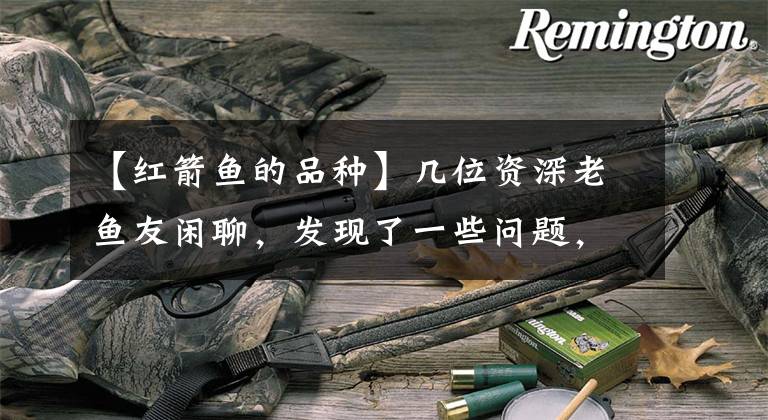 【红箭鱼的品种】几位资深老鱼友闲聊，发现了一些问题，给新鱼友的一些建议