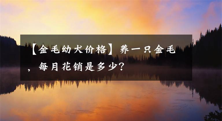 【金毛幼犬价格】养一只金毛，每月花销是多少？