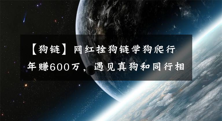 【狗链】网红拴狗链学狗爬行年赚600万，遇见真狗和同行相互对吠