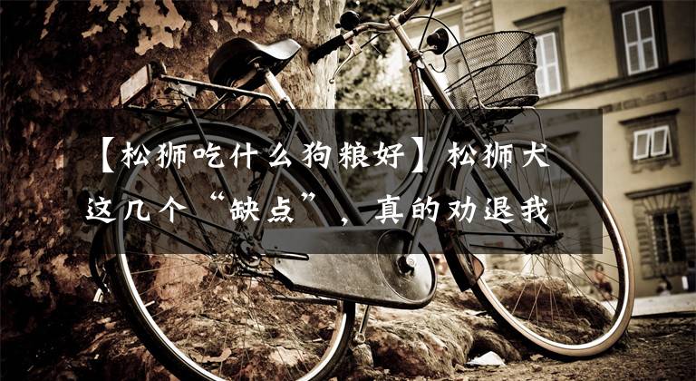 【松狮吃什么狗粮好】松狮犬这几个“缺点”，真的劝退我了
