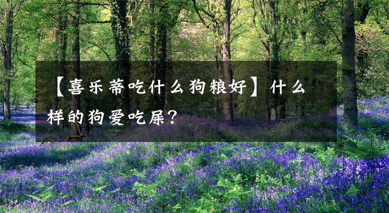 【喜乐蒂吃什么狗粮好】什么样的狗爱吃屎？