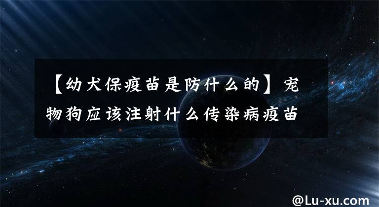 【幼犬保疫苗是防什么的】宠物狗应该注射什么传染病疫苗？