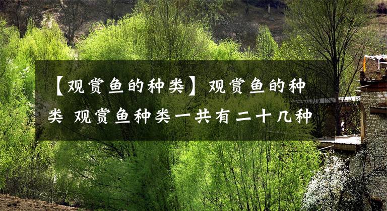 【观赏鱼的种类】观赏鱼的种类 观赏鱼种类一共有二十几种