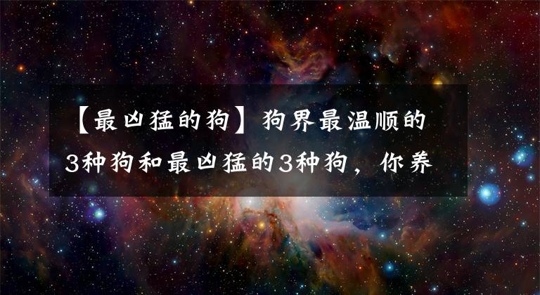 【最凶猛的狗】狗界最温顺的3种狗和最凶猛的3种狗，你养了哪种？