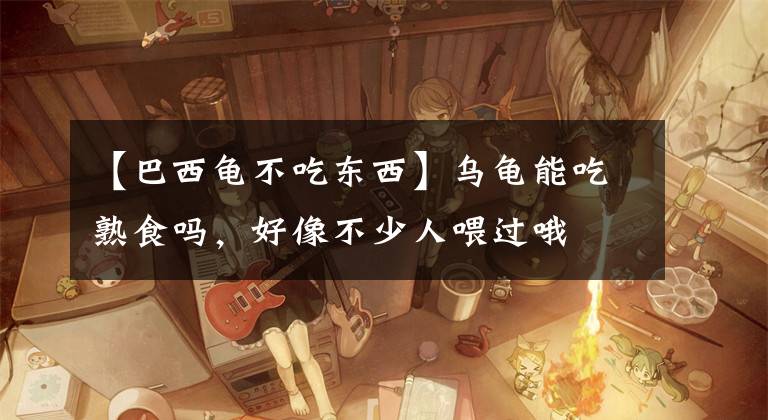 【巴西龟不吃东西】乌龟能吃熟食吗，好像不少人喂过哦