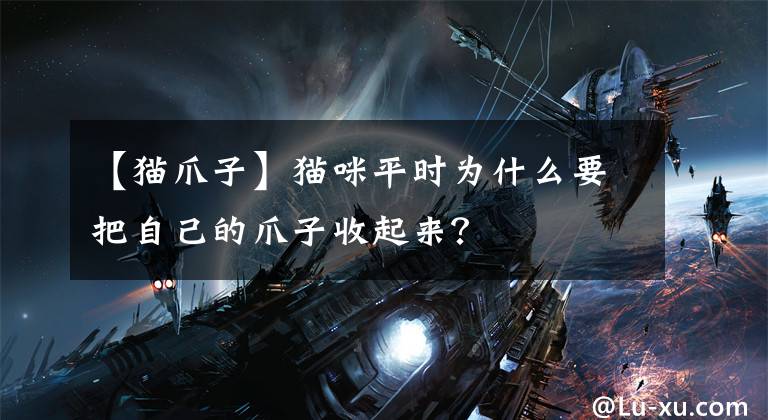 【猫爪子】猫咪平时为什么要把自己的爪子收起来？