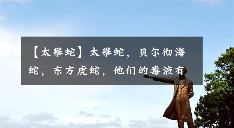【太攀蛇】太攀蛇，贝尔彻海蛇，东方虎蛇，他们的毒液有多厉害