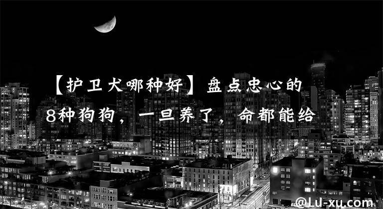 【护卫犬哪种好】盘点忠心的8种狗狗，一旦养了，命都能给你！