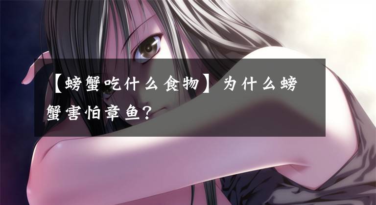 【螃蟹吃什么食物】为什么螃蟹害怕章鱼？