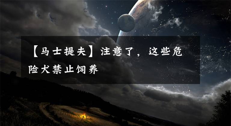 【马士提夫】注意了，这些危险犬禁止饲养