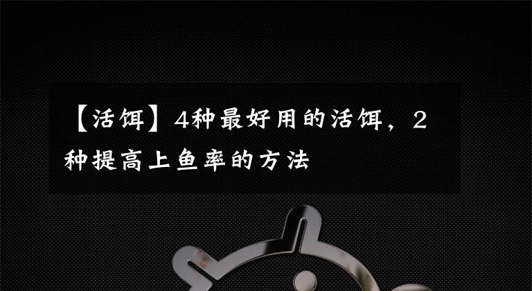 【活饵】4种最好用的活饵，2种提高上鱼率的方法
