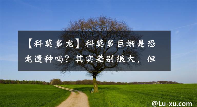 【科莫多龙】科莫多巨蜥是恐龙遗种吗？其实差别很大，但恐龙后裔却大量存在