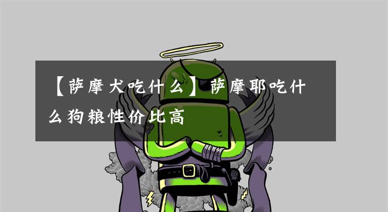 【萨摩犬吃什么】萨摩耶吃什么狗粮性价比高