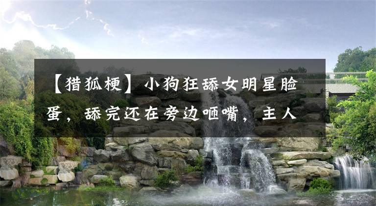 【猎狐梗】小狗狂舔女明星脸蛋，舔完还在旁边咂嘴，主人几次驱赶都不愿走