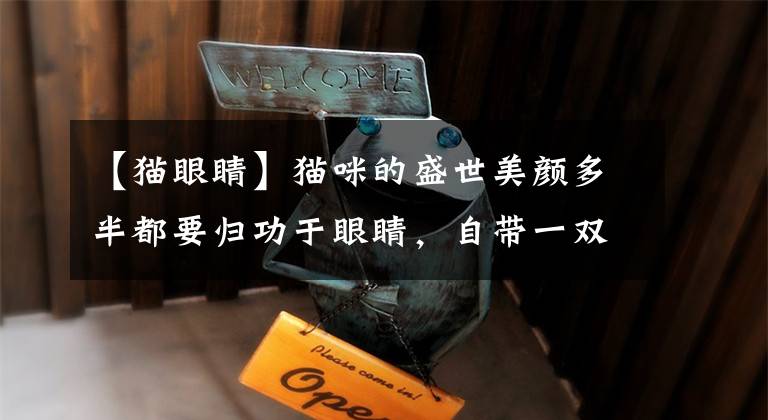 【猫眼睛】猫咪的盛世美颜多半都要归功于眼睛，自带一双华丽的美瞳