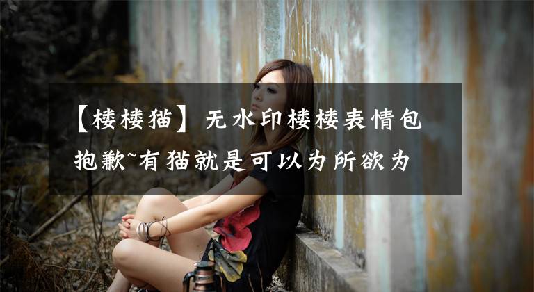 【楼楼猫】无水印楼楼表情包 抱歉~有猫就是可以为所欲为的啦~