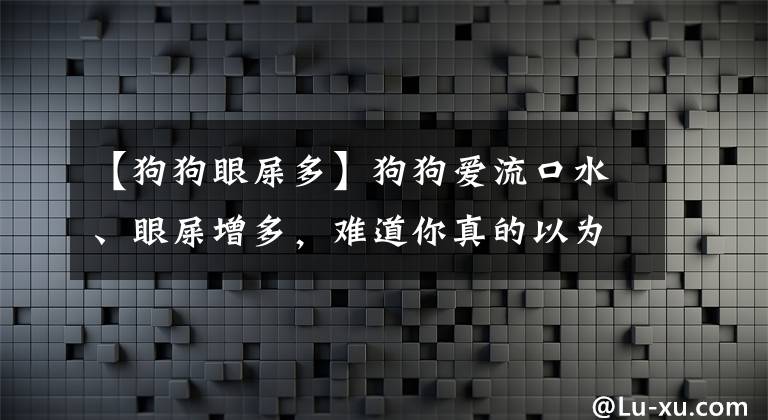 【狗狗眼屎多】狗狗爱流口水、眼屎增多，难道你真的以为这是正常现象吗？