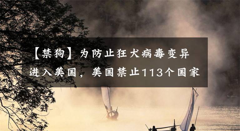 【禁狗】为防止狂犬病毒变异进入美国，美国禁止113个国家的狗入境