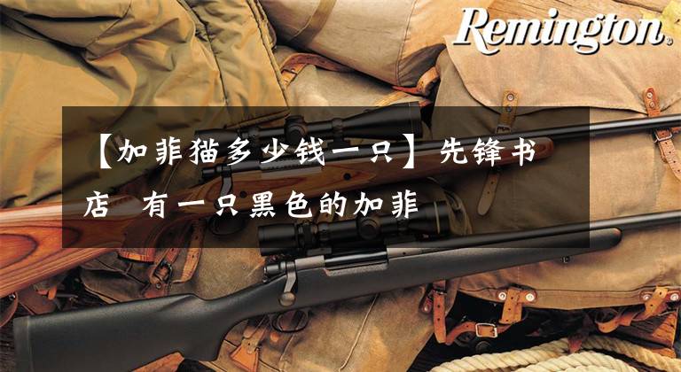 【加菲猫多少钱一只】先锋书店  有一只黑色的加菲