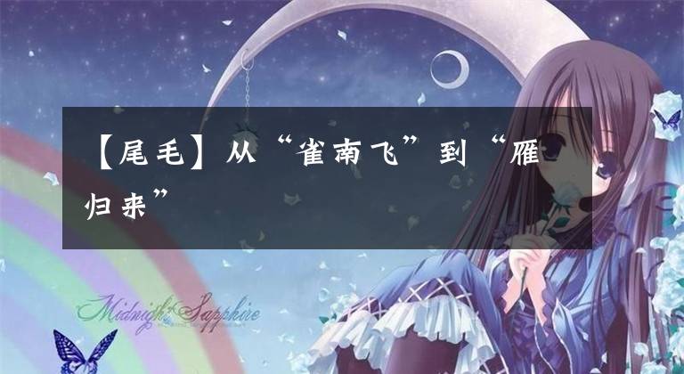 【尾毛】从“雀南飞”到“雁归来”