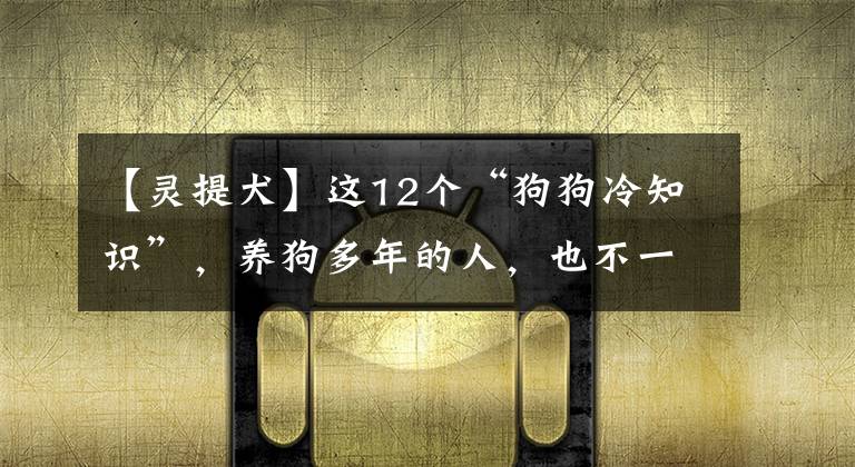 【灵提犬】这12个“狗狗冷知识”，养狗多年的人，也不一定懂