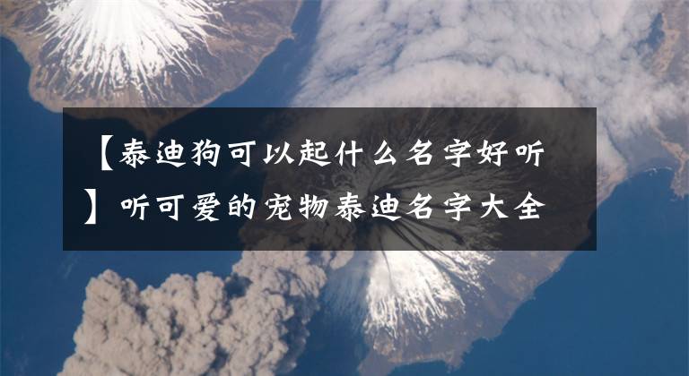 【泰迪狗可以起什么名字好听】听可爱的宠物泰迪名字大全-可爱的一点