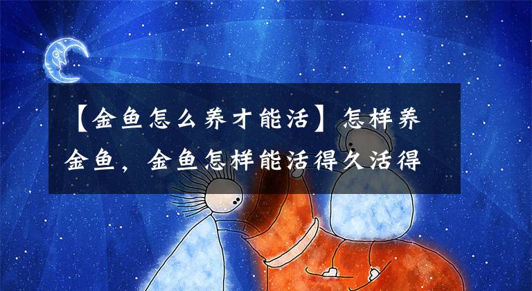 【金鱼怎么养才能活】怎样养金鱼，金鱼怎样能活得久活得好呢？做到这些不死鱼！