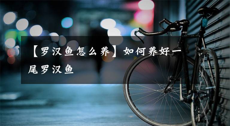 【罗汉鱼怎么养】如何养好一尾罗汉鱼