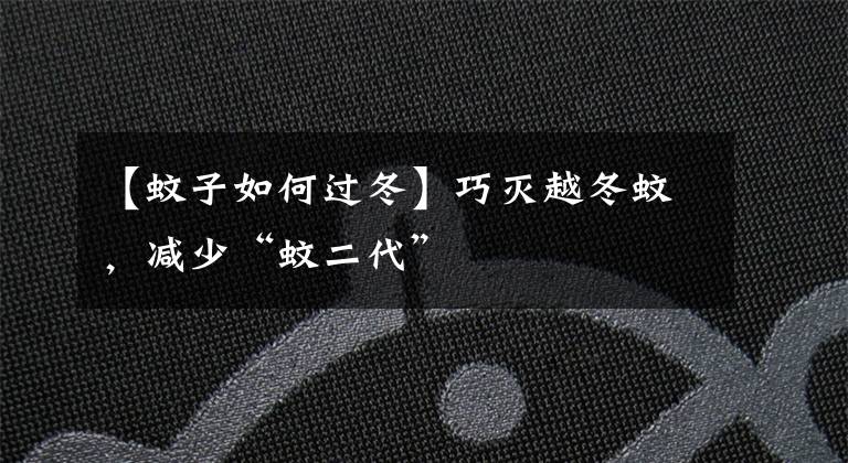 【蚊子如何过冬】巧灭越冬蚊，减少“蚊二代”