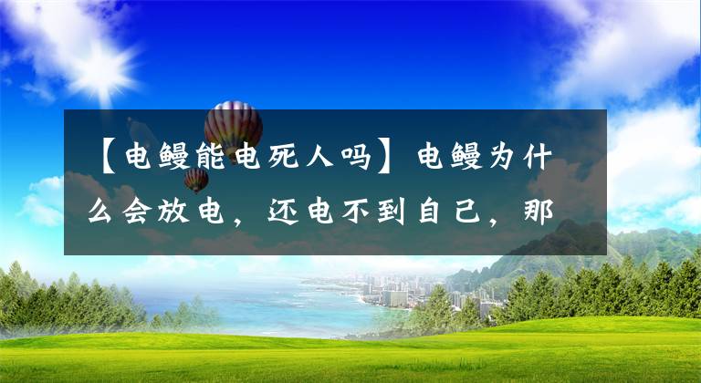 【电鳗能电死人吗】电鳗为什么会放电，还电不到自己，那能电死人吗？