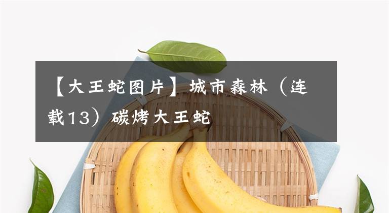 【大王蛇图片】城市森林（连载13）碳烤大王蛇
