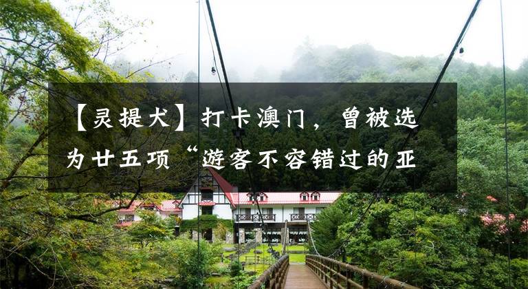 【灵提犬】打卡澳门，曾被选为廿五项“游客不容错过的亚洲体验”的赛狗场