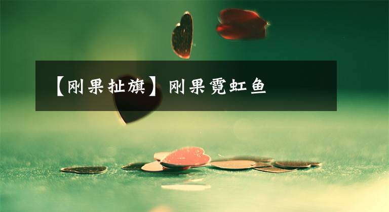 【刚果扯旗】刚果霓虹鱼