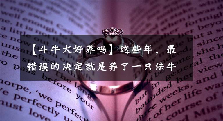 【斗牛犬好养吗】这些年，最错误的决定就是养了一只法牛，又笨又蠢又懒又能吃！