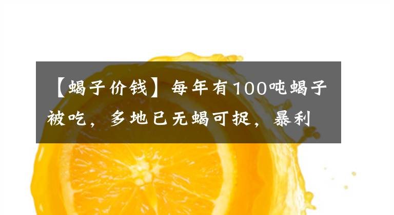 【蝎子价钱】每年有100吨蝎子被吃，多地已无蝎可捉，暴利背后究竟有何隐忧？