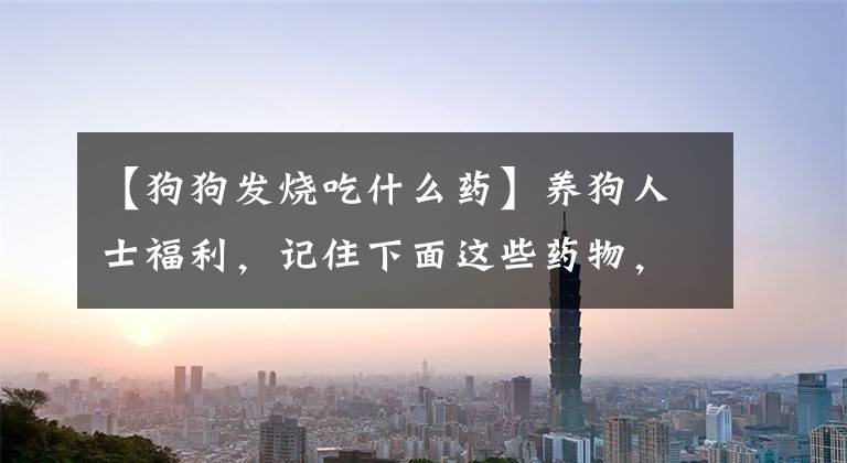 【狗狗发烧吃什么药】养狗人士福利，记住下面这些药物，狗狗生病不被医院坑