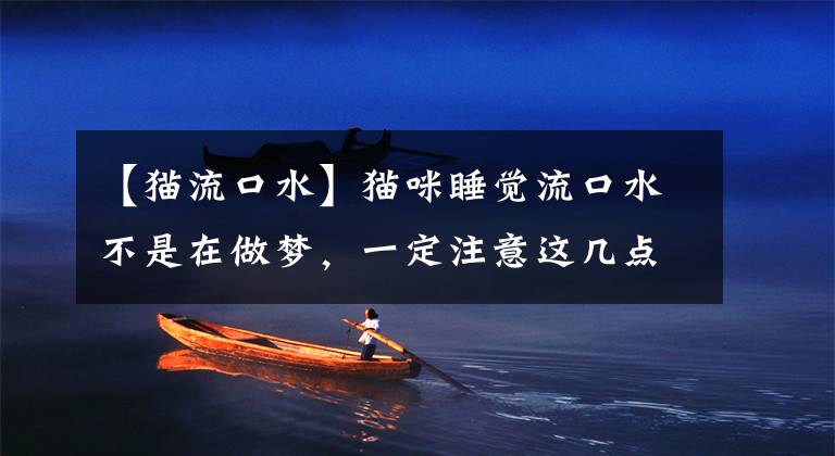 【猫流口水】猫咪睡觉流口水不是在做梦，一定注意这几点！