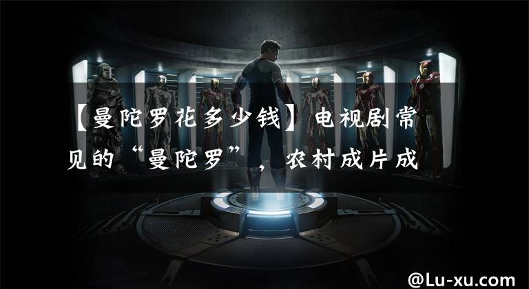 【曼陀罗花多少钱】电视剧常见的“曼陀罗”，农村成片成片种，开花硕大花量大