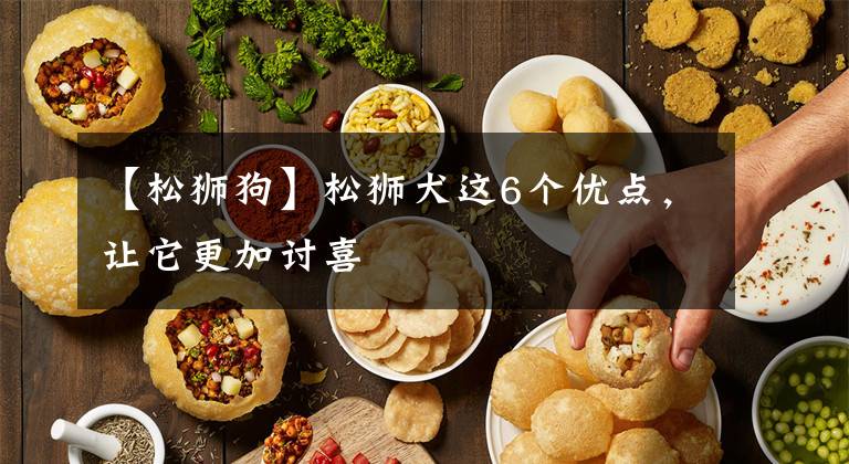 【松狮狗】松狮犬这6个优点，让它更加讨喜