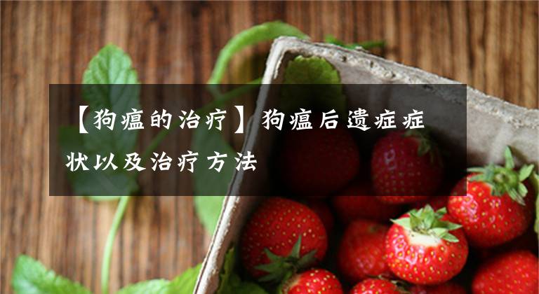 【狗瘟的治疗】狗瘟后遗症症状以及治疗方法