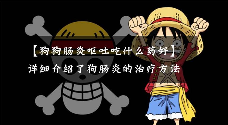 【狗狗肠炎呕吐吃什么药好】详细介绍了狗肠炎的治疗方法。