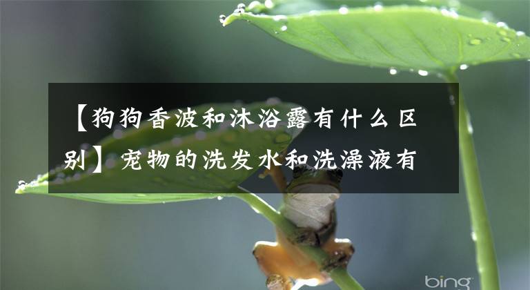 【狗狗香波和沐浴露有什么区别】宠物的洗发水和洗澡液有区别吗？