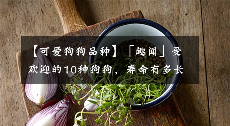 【可爱狗狗品种】「趣闻」受欢迎的10种狗狗，寿命有多长，你知道吗？