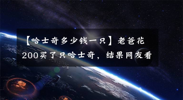 【哈士奇多少钱一只】老爸花200买了只哈士奇，结果网友看后哭笑不得了