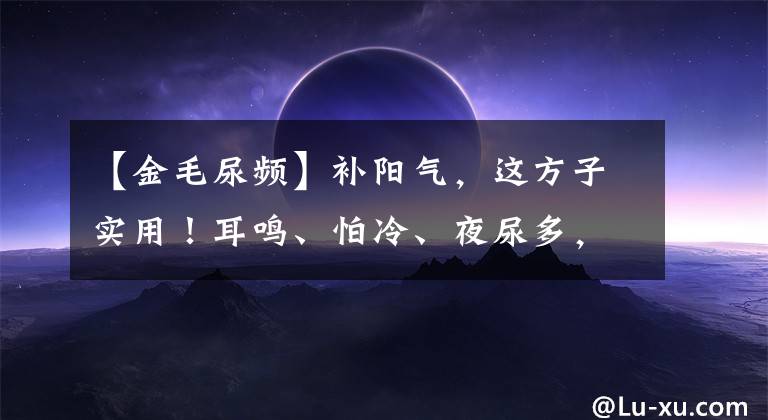 【金毛尿频】补阳气，这方子实用！耳鸣、怕冷、夜尿多，它都管，送给冬天的你