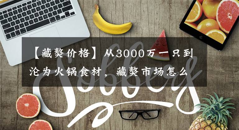 【藏獒价格】从3000万一只到沦为火锅食材，藏獒市场怎么就灰飞烟灭了？