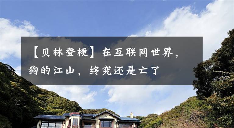 【贝林登梗】在互联网世界，狗的江山，终究还是亡了